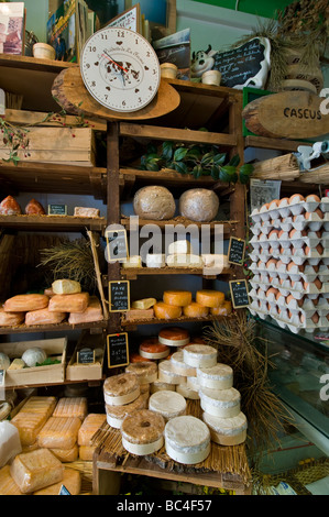 Selezione di formaggi di produzione artigianale e prodotti lattiero-caseari nell'artigiano fromagerie negozio di formaggi " Caseus' Montreuil sur Mer Francia Foto Stock