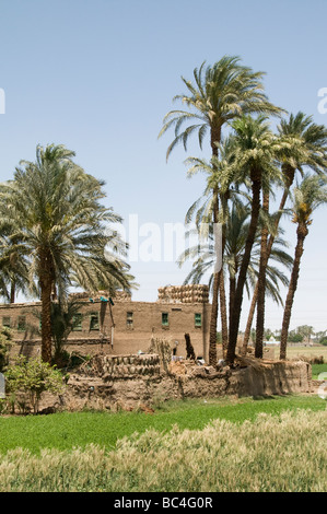 Fiume Nilo in Egitto Agriturismo agricoltore agricoltura campo vecchio villaggio sul Nilo Foto Stock