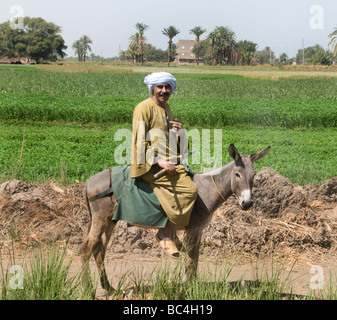 Fiume Nilo in Egitto Agriturismo agricoltore agricoltura campo vecchio contadino Foto Stock