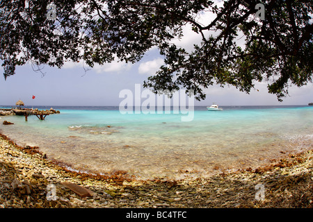 Diving base sull'isola dei Caraibi Curacao nelle Antille olandesi Foto Stock