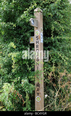 Servizio di campagna Shropshire modo designato un sentiero pubblico per gli escursionisti Foto Stock