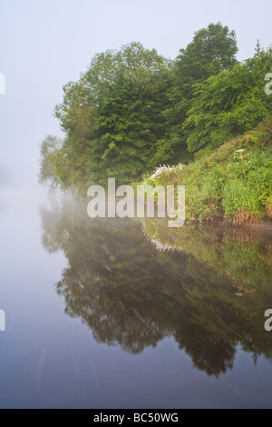 La nebbia che si innalzano per oltre il veloce-fluente acque del Fiume Tyne su una mattina d'estate nei pressi del villaggio di Wylam, Northumberland Foto Stock