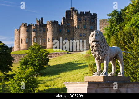 Leone scolpito su un ponte sul fiume Aln che conduce alla città di Alnwick Northumberland, Inghilterra. Dietro è Alnwick Castle Foto Stock