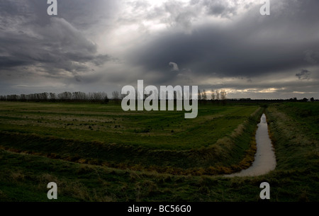 Testa di ragazzi Terrington Marsh il lavaggio Lincolnshire Inghilterra Foto Stock