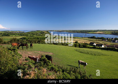 Vista su terreni agricoli e la bocca di Strangford Lough contea di Down Irlanda del Nord Regno Unito Foto Stock