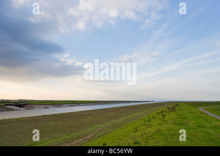 Testa di ragazzi Terrington Marsh il lavaggio Lincolnshire Inghilterra Foto Stock