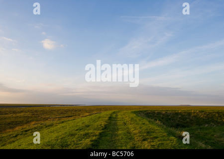 Testa di ragazzi Terrington Marsh il lavaggio Lincolnshire Inghilterra Foto Stock