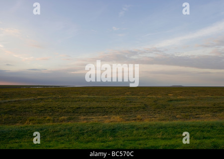 Testa di ragazzi Terrington Marsh il lavaggio Lincolnshire Inghilterra Foto Stock