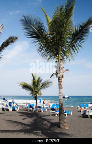 Playa Jardin, Puerto de la Cruz, Tenerife, Isole Canarie, Spagna Foto Stock