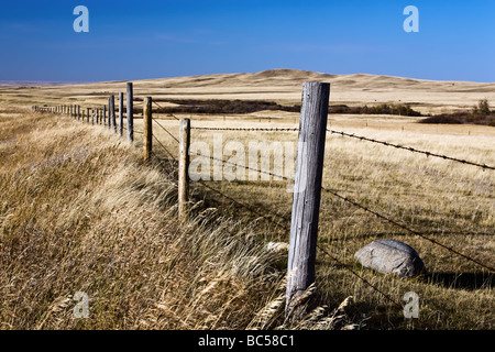 Recinzione A Filo Spinato, Cypress Hills Provincial Park, Saskatchewan, Canada. Foto Stock