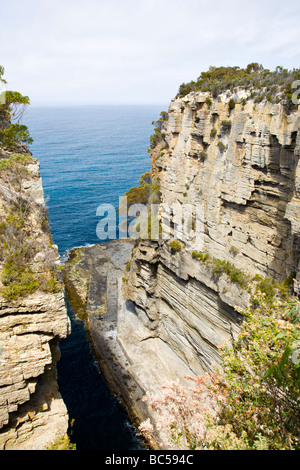Devils Kitchen Tasman Parco nazionale Tasmania Australia Foto Stock