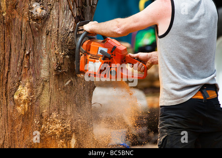 Uomo con una motosega a tagliare un albero Foto Stock