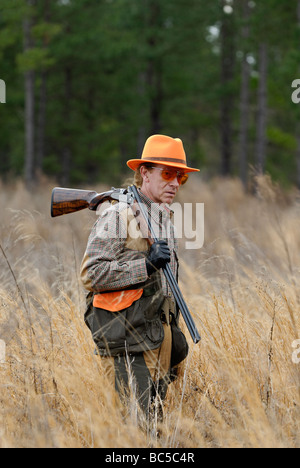 Upland Bird Hunter di Piney Woods della Georgia Foto Stock