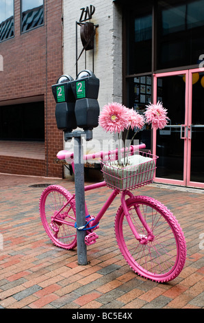 Una rosa in bicicletta sulle strade di Georgetown, Washington D.C. Foto Stock