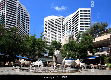 Dancing Brolgas Fontana al Cockle Bay Darling Harbour Sydney Australia Foto Stock