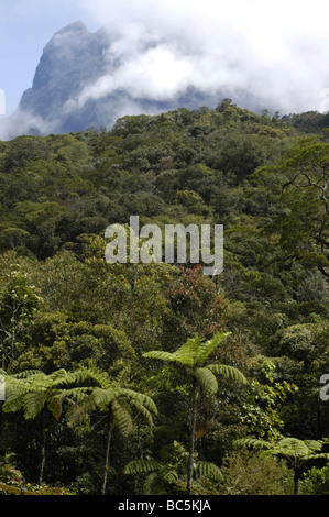 Vista in Mt Kinabalu, Borneo Malaysia dal parco nazionale di sedi centrali Foto Stock