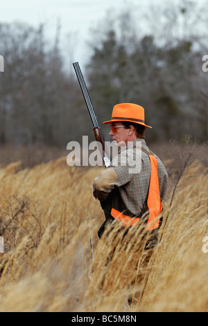 Upland Bird Hunter di Piney Woods della Georgia Foto Stock