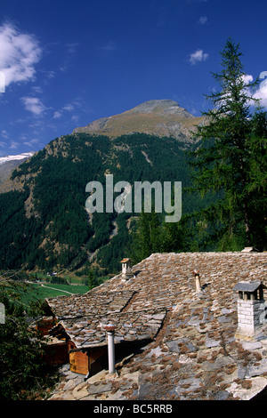 Italia, Valle d'Aosta, Parco Nazionale del Gran Paradiso, Cogne Foto Stock