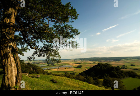 Vista panoramica di terreni coltivati, Amoeneburg, Marburg-Biedenkopf, Hesse, Germania Foto Stock