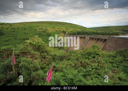 Meldon serbatoio vicino Okehampton, Dartmoor Devon, Inghilterra, Regno Unito Foto Stock