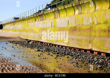 Mare parete ricoperta di alghe verdi a Overstrand, Norfolk, Regno Unito, con base esposta dalla purga. Foto Stock