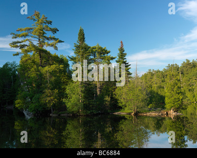 Fiume Eramosa paesaggio naturale Ontario Canada Foto Stock