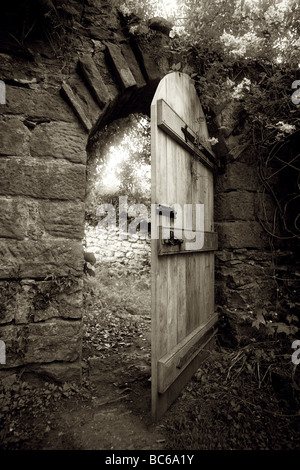 Seppia shot della tradizionale aperto a metà oak porta nella parete del giardino con pietra circonda e arco ,sovrastata con piante ed edera Foto Stock