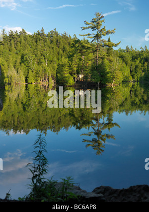 Fiume Eramosa paesaggio naturale Ontario Canada Foto Stock