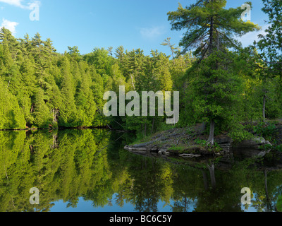 Fiume Eramosa paesaggio naturale Ontario Canada Foto Stock