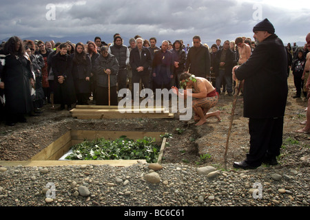 Ossa Maori credevano di essere dei coloni originale alla Nuova Zelanda, sono tornati e reburied a Wairau Bar, Marlborough Foto Stock