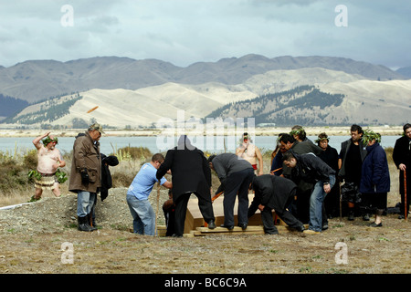 Ossa Maori credevano di essere dei coloni originale alla Nuova Zelanda, sono tornati e reburied a Wairau Bar, Marlborough Foto Stock