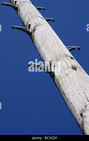 Telegrafo polo con il lato montato su staffe di arrampicata insieme contro una molto blu cielo senza nuvole. Foto Stock