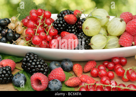 Frutti di bosco Foto Stock