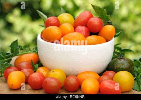 Variato di pomodori ciliegini, anche peardrops. Foto Stock