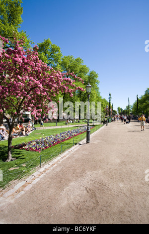 Parco Esplanadi in Helsinki Finlandia Foto Stock