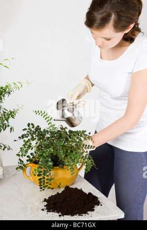 Donna fiore di irrigazione Foto Stock