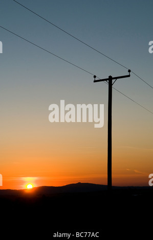 Tramonto e cavi elettrici Foto Stock
