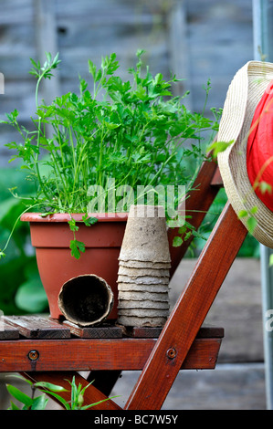 Un giardino scena di attrezzi,pentole, i trucioli e la forcella e la veg vicino a letti rialzato pieno di cresciuto in casa organici di foglie di insalata e verdure Foto Stock