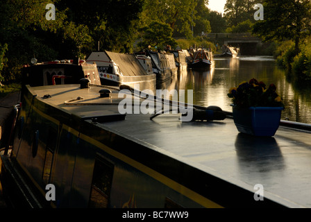 Nel tardo pomeriggio la luce sul lavoro e tempo libero narrowboats, Braunston, Northamptonshire, Inghilterra Foto Stock