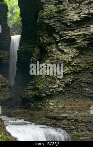 Taglio a cascata verso il basso attraverso la stretta gola di Watkins Glen State Park New York Foto Stock