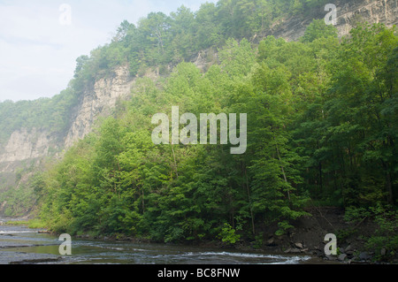 Fiume attraverso la gola a Taughannock cade parco dello Stato di New York Foto Stock