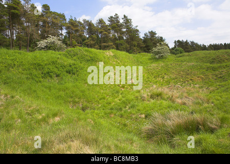 Vista di Priddy Mineries piscina e la vegetazione circostante nel Somerset in giugno. Foto Stock