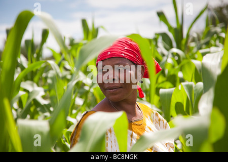 Ritratto di una donna africana di agricoltore in un campo di mais. Villaggio Kikwe Arumeru District Arusha in Tanzania Foto Stock