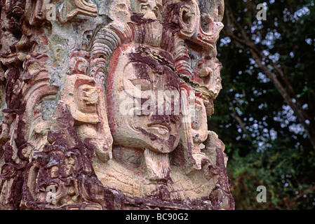 STELA D datato al 736 D.C. raffigura una figura con una barba corta un segno di gioventù rovine COPAN HONDURAS Foto Stock