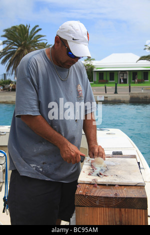 Fisherman sfilettatura pesci pescati sul retro della sua barca in St George, Bermuda. Katharine Andriotis Foto Stock