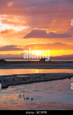 Tramonto su un birdwatching nascondere al Caerlaverock e il Solway Firth, Dumfries & Galloway in dicembre. Foto Stock