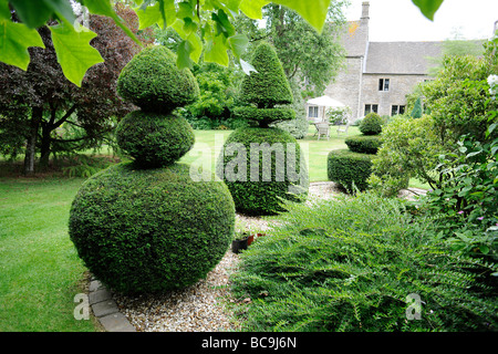 Topiaria da e in un giardino inglese nel Somerset, Regno Unito Foto Stock