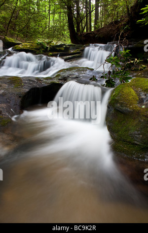 Questa zona è lungo il sentiero Bartram su Martin Creek fuori Clayton, Georgia. Marting Creek è molto panoramico e contiene molte scene come questa. Foto Stock