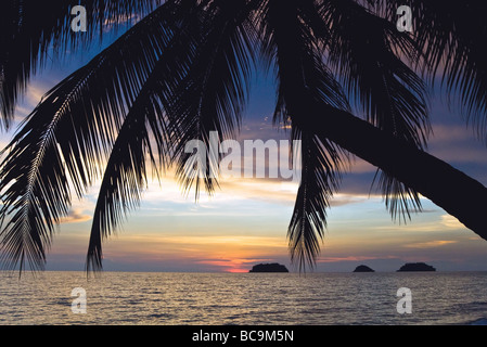 Tramonto con la silhouette di un albero di palme sulla spiaggia di Koh Chang island, Thailandia Foto Stock