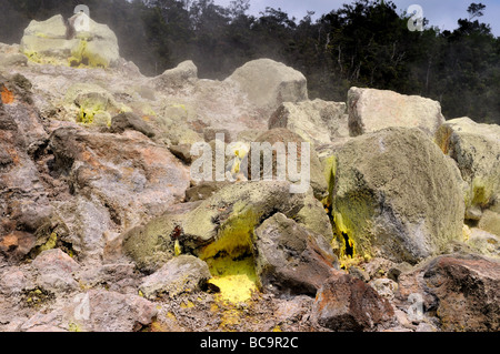 Cristalli di zolfo crescere nella cavità di roccia. Parco Nazionale dei Vulcani delle Hawaii, Hawaii, Stati Uniti d'America. Foto Stock